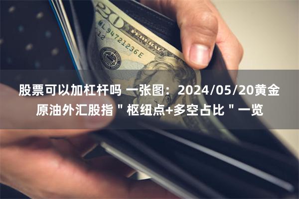 股票可以加杠杆吗 一张图：2024/05/20黄金原油外汇股指＂枢纽点+多空占比＂一览