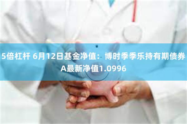 5倍杠杆 6月12日基金净值：博时季季乐持有期债券A最新净值1.0996