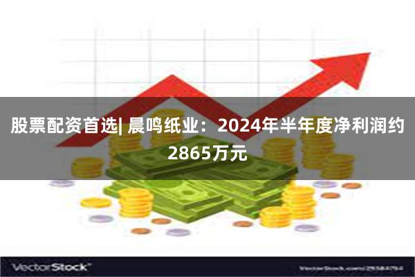 股票配资首选| 晨鸣纸业：2024年半年度净利润约2865万元