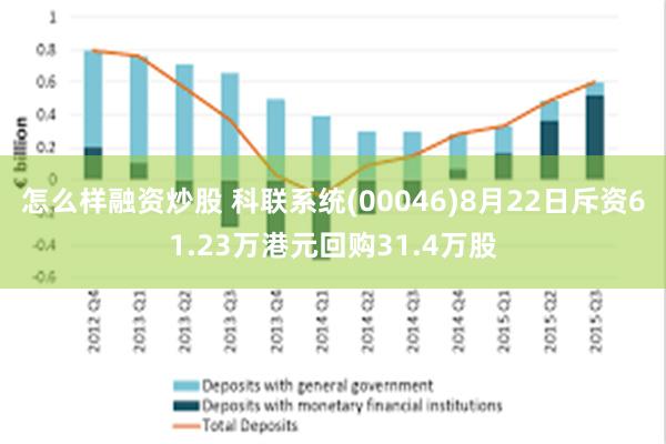 怎么样融资炒股 科联系统(00046)8月22日斥资61.23万港元回购31.4万股