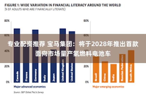 专业配资推荐 宝马集团：将于2028年推出首款面向市场量产氢燃料电池车