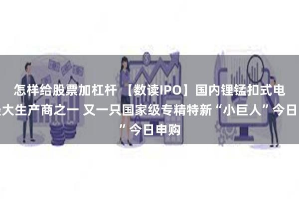 怎样给股票加杠杆 【数读IPO】国内锂锰扣式电池最大生产商之一 又一只国家级专精特新“小巨人”今日申购