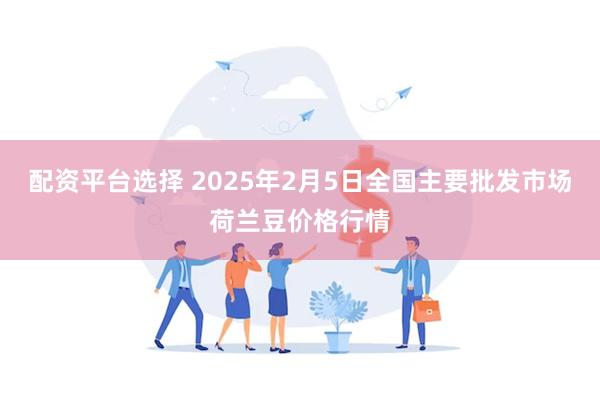 配资平台选择 2025年2月5日全国主要批发市场荷兰豆价格行情