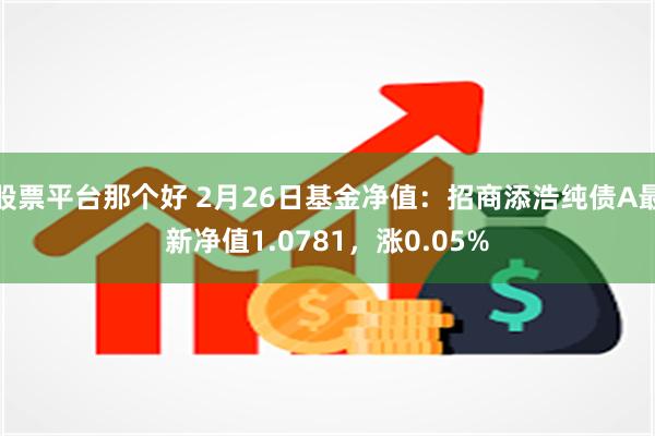 股票平台那个好 2月26日基金净值：招商添浩纯债A最新净值1.0781，涨0.05%