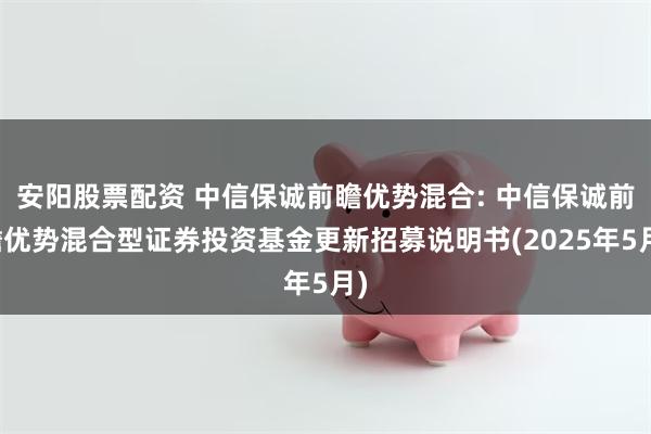 安阳股票配资 中信保诚前瞻优势混合: 中信保诚前瞻优势混合型证券投资基金更新招募说明书(2025年5月)